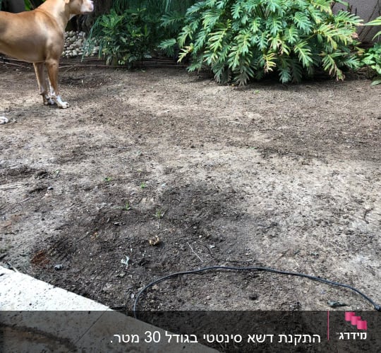 אדמה חשופה עם צינור השקיה בגינה